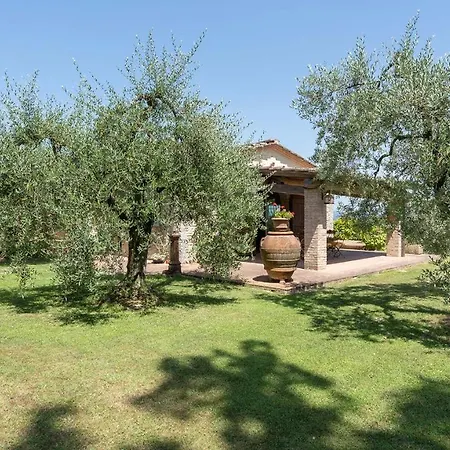 Villa L'oliveta 6, Emma