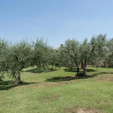 L'oliveta 6, Emma Villa *